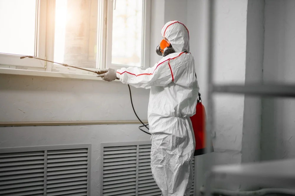 Professional mold remediation services in Greentown, PA